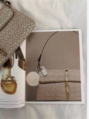 Stunning Vintage Coach Evening Bag
